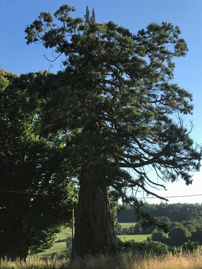 Le Cottage Du Sequoia Chamberet Экстерьер фото